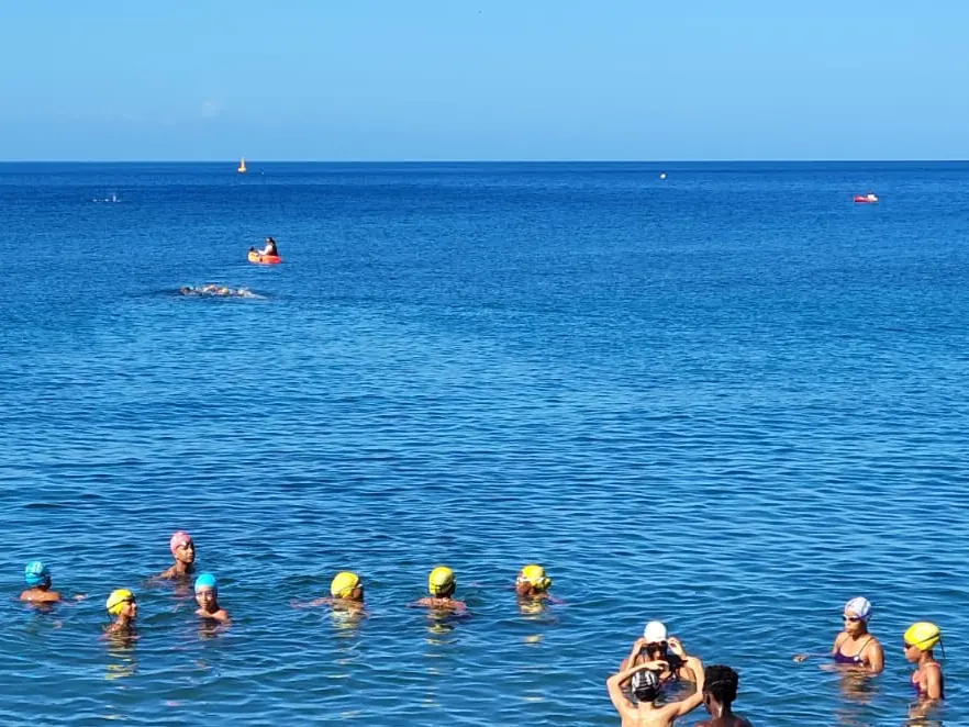 Les nageurs en bonnets jaunes et bleus se regroupent dans l'eau avant le départ