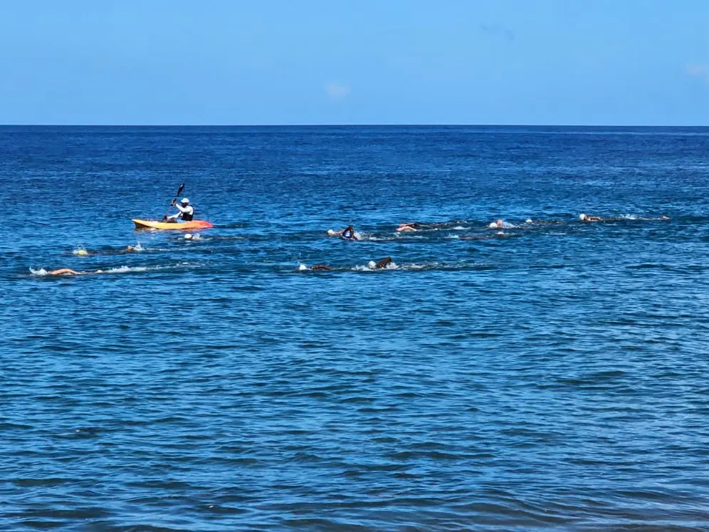 Une longue file de nageurs en pleine mer, encadrée par un kayak